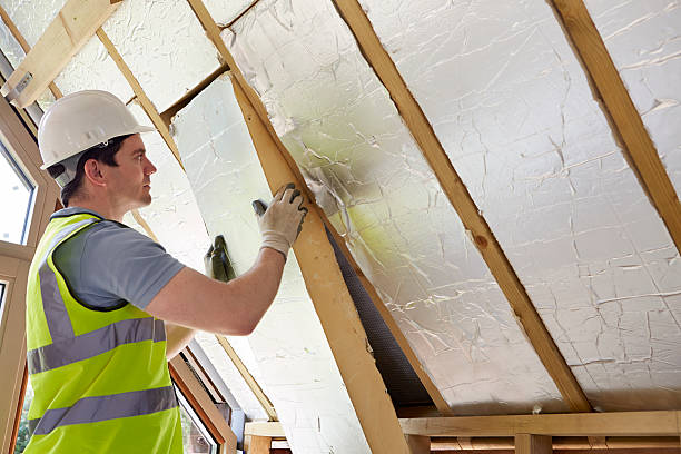 Best Eco-Friendly or Green Insulation Solutions  in Pittsville, MD